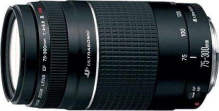 Canon EF 75-300mm f/4-5.6 III USM